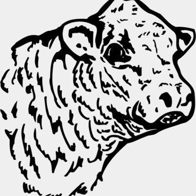 COW010 Thumbnail