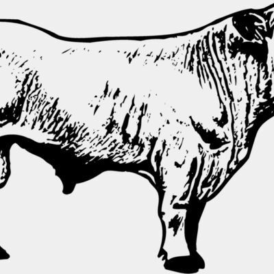 COW023 Thumbnail