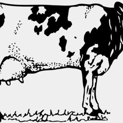 COW026 Thumbnail