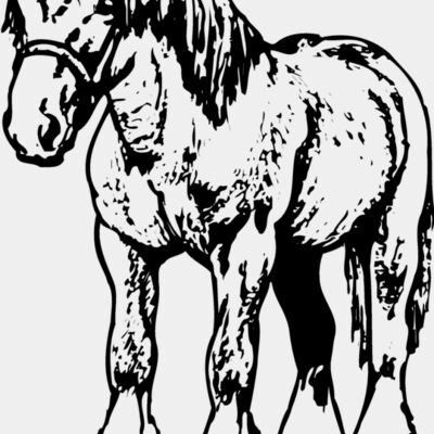 HORSE035 Thumbnail