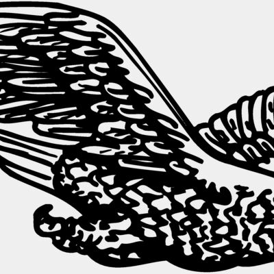 EAGLE006 Thumbnail