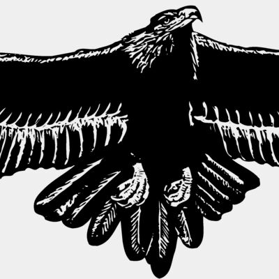 EAGLE010 Thumbnail