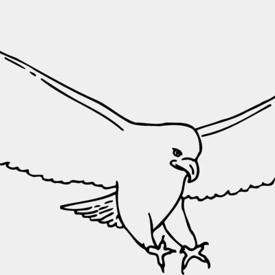 EAGLE46 Thumbnail