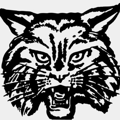 CAT03 Thumbnail