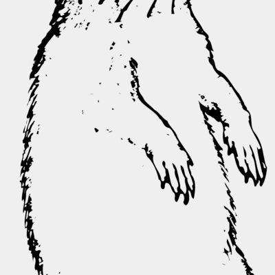 GOPHER01 Thumbnail