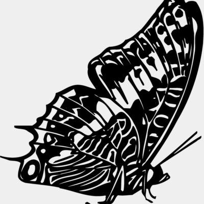 BTRFLY02 Thumbnail
