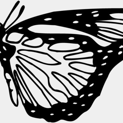 BTRFLY03 Thumbnail