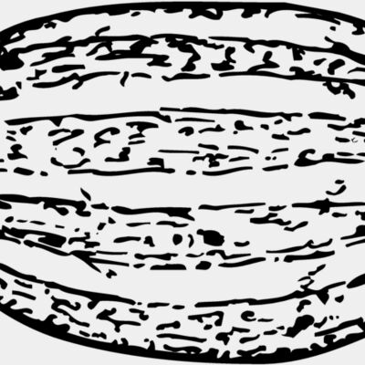 FRUIT001 Thumbnail