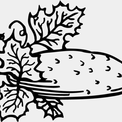 FRUIT002 Thumbnail