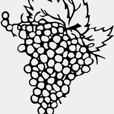 FRUIT004 Thumbnail