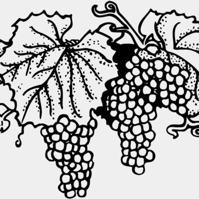 FRUIT005 Thumbnail