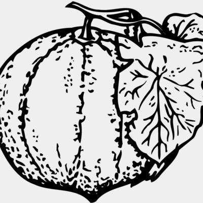 FRUIT007 Thumbnail