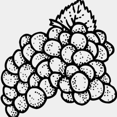 FRUIT016 Thumbnail