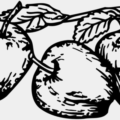 FRUIT018 Thumbnail