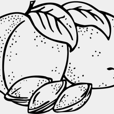 FRUIT025 Thumbnail
