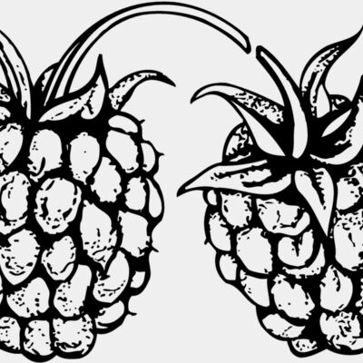 FRUIT032 Thumbnail