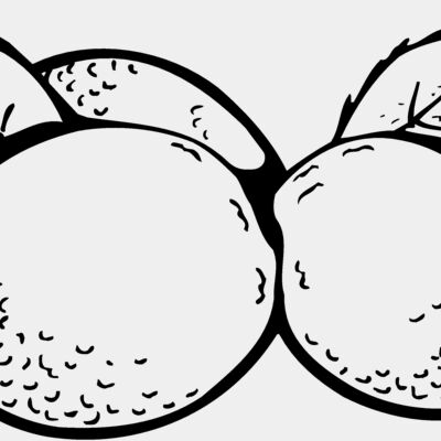 FRUIT036 Thumbnail