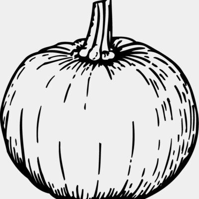 FRUIT040 Thumbnail