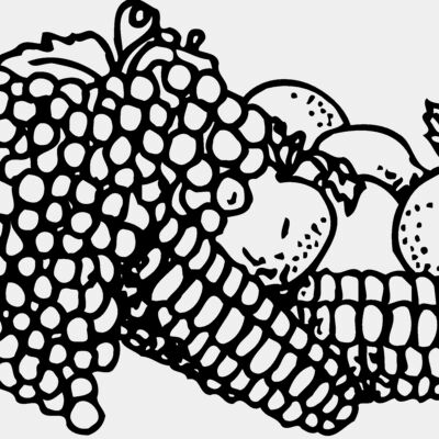 FRUIT049 Thumbnail