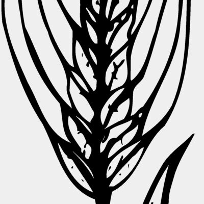 GRAIN009 Thumbnail
