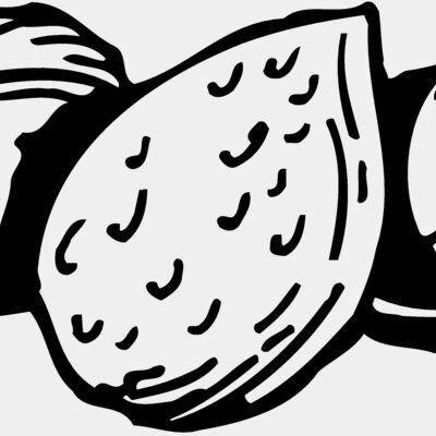 NUT002 Thumbnail