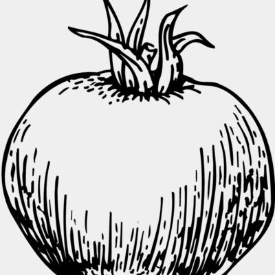 VEG014 Thumbnail