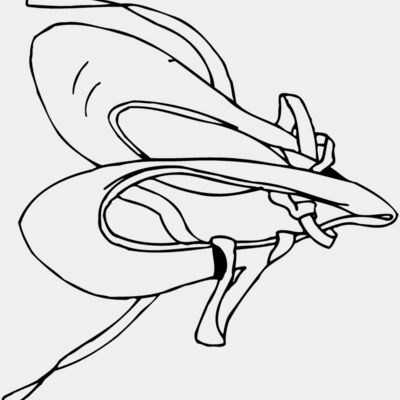 SHOE07 Thumbnail