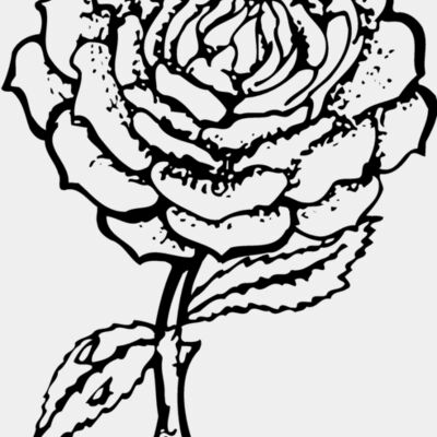FLOWER05 Thumbnail