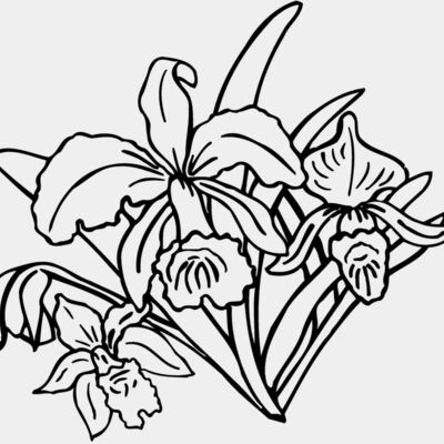 FLOWER18 Thumbnail