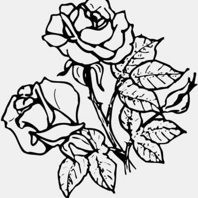 FLOWER21 Thumbnail