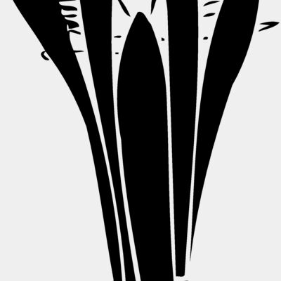 PLANT08 Thumbnail