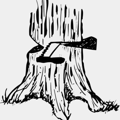 TIMBER13 Thumbnail