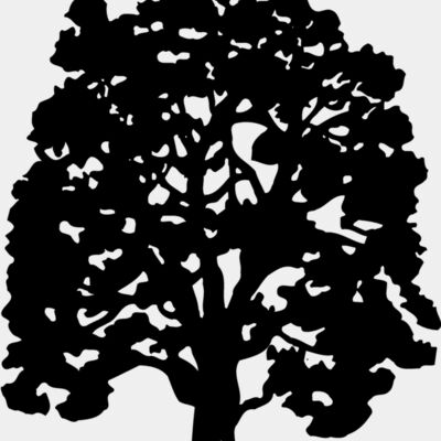 TREE0008 Thumbnail