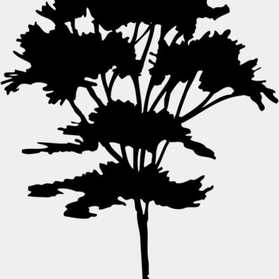 TREE0025 Thumbnail