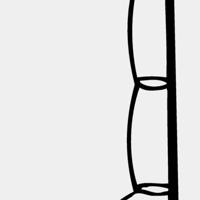 FISHNG01 Thumbnail