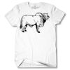 Men's Tshirt Thumbnail