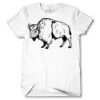 Men's Tshirt Thumbnail
