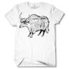 Men's Tshirt Thumbnail